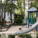 Denuncian red de corrupción para despojar de viviendas a familias en Cancún