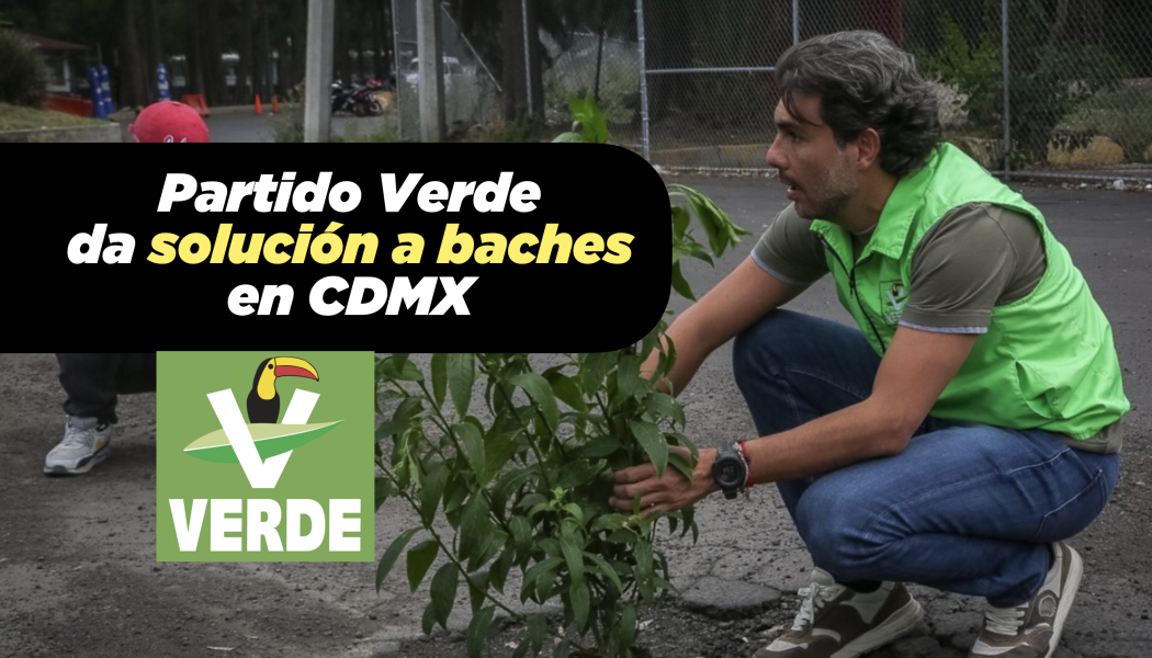 PARTIDO VERDE BACHES
