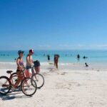 #YaNoQuieroSerUnMeme; Propuesta impulsada por el Partido Verde