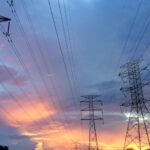 Encuentran cientos de tortugas muertas en Oaxaca