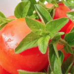 ¡Lamentable! Mueren deshidratadas 11 jirafas por intensa sequía en Kenia