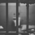 ¡Lamentable! Mueren deshidratadas 11 jirafas por intensa sequía en Kenia