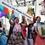 Variante en el precio del limón, producto de la incapacidad de manejo en la economía por la 4T