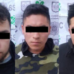 Ya podrás tramitar las placas de tu coche desde internet en la CDMX