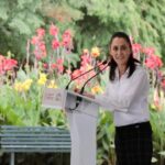 Ya podrás tramitar las placas de tu coche desde internet en la CDMX