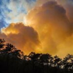 Aumenta a 10 cifra de muertos tras ataque en Atlixco, Puebla; dos son menores