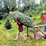 López Obrador y Sheinbaum liberan el Zócalo para marcha por el INE
