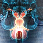 Inicia temporada de árbol navideño; impacta fertilizantes al precio