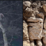 Impulsan Congreso y ONU Mujeres trascendente Legislación contra feminicidio en Edomex