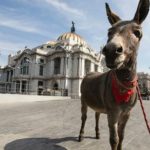 López Obrador acusa a Israel de proteger a Tomás Zerón, “un torturador”