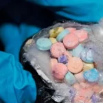 Sin agua tierras de temporal en Fresnillo, Zacatecas