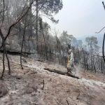 Por ampliación de banquetas reducen calles en el malecón de Villahermosa