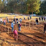 Inflación y precios impactan el consumo de carne en México