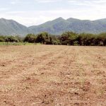 The Illusionists recupera la capacidad de sorpresa