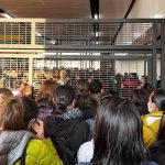 “Checo” recibe ultimátum por parte de Helmut Marko