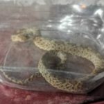 Hierve en California el Valle de la Muerte