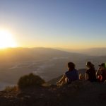 Hallan culebra sorda mexicana ‘suelta’ en la GAM; mujer valiente la capturó