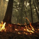 Murió a los 66 años el actor Ron Cephas Jones, famoso por su papel en ‘This is us’