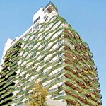 Argentina y Leo Messi, campeones premeditados: Louis Van Gaal