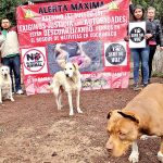 Piqué sufre dolorosa caída en presentación de Kings League Américas