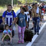 Policías detuvieron a dos personas por maltrato animal en calles de la MH
