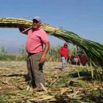 ¡Sinónimo de fuerza, entrega y disciplina!