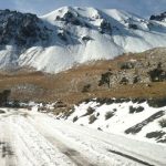 La Serie del Caribe vuelve a Estados Unidos después de 33 años