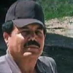 Scarlett Camberos es baja del Tri Femenil por lesión para la Copa Oro W, Mayra Pelayo es convocada