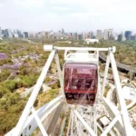 Lionel Messi se lesionó y no jugará amistosos con Argentina