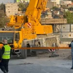 Carlos Vela no renueva en MLS ni llegaría a Liga MX; estas son sus opciones