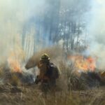 Samuel y Brayan, 2 de los fallecidos tras caída de helicóptero; indagan si son extranjeros