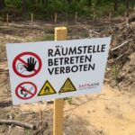 Vladimir Guerrero Jr. El beisbolista cambia de parecer y podría llegar a Nueva York en MLB 2024