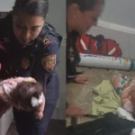 Ataque ucraniano en Kursk sorprendió a Rusia