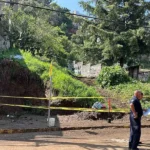 Ultraderecha europea nomina a Elon Musk al premio Sájarov a la libertad de conciencia