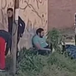 Día Mundial de la Alimentación