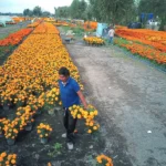 Ucrania tiene previsto movilizar a 160.000 soldados adicionales, según el Gobierno