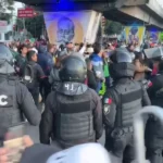 Desastre nacional por incendios forestales