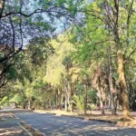 “Checo” Pérez y su patrimonio millonario