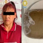 Cinco leones rescatados de la guerra en Ucrania comienzan una nueva vida en Inglaterra