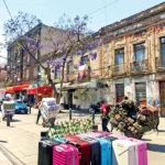 Se registran 11 incendios forestales en Oaxaca