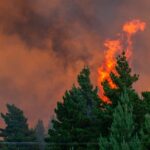 No deja que la fama lo afecte