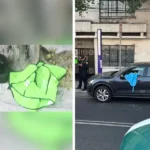 Marina detiene a 9 personas relacionadas con “Los Salazar”