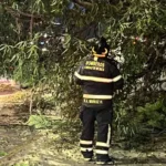 Pausa Coventry candidatura de Juegos Olímpicos 2036