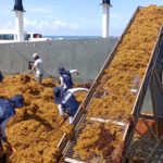 Alejandra Guzmán admite recaída en el alcohol durante su duelo por Silvia Pinal