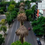 Alertan redadas en Los Ángeles