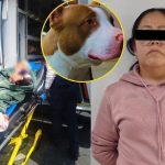 Messi regala doblete a su afición ante Venezuela en su última función por eliminatorias