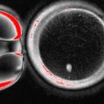 Mixtli Digital, nube tecnológica que llegará a escuelas de CDMX