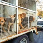 Warner Bros rechaza oferta de Paramount y pide a accionistas apoyar propuesta de Netflix