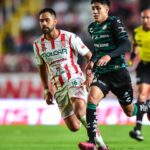 Rescatan a más de 900 animales de albergue