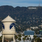 Rescatan a más de 900 animales de albergue